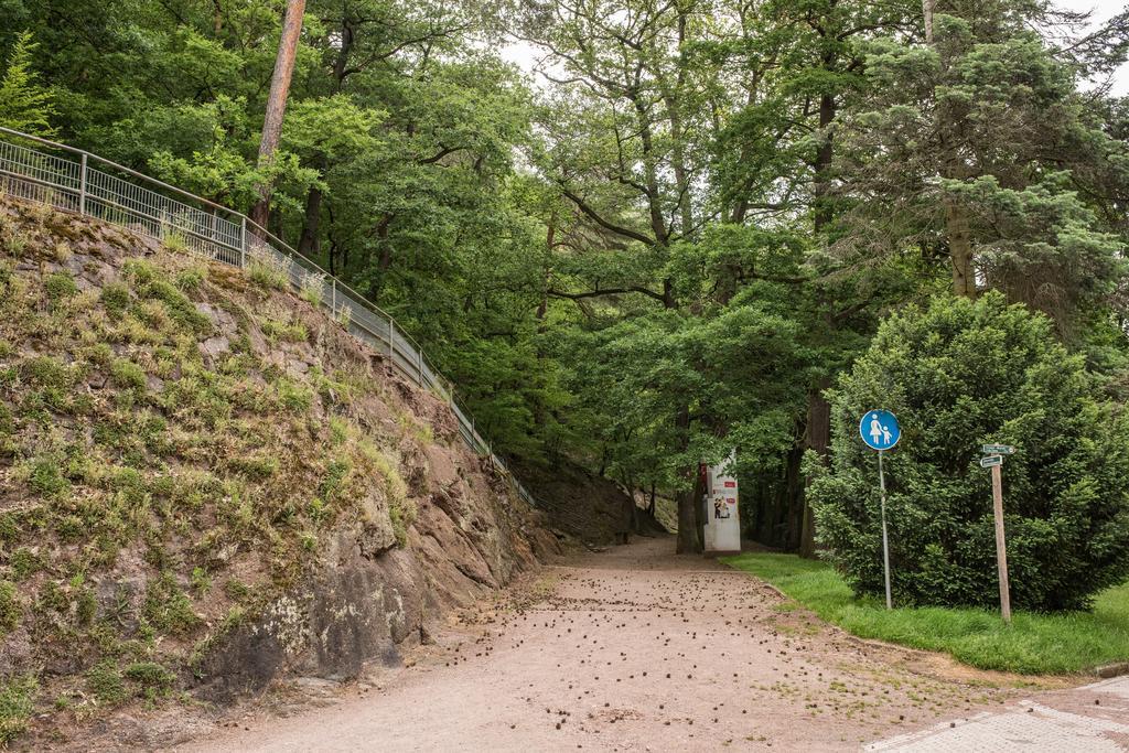 Loftwohnung Mit Sauna - Natur Und Kultur In Eisenach Erleben Und Geniessen מראה חיצוני תמונה